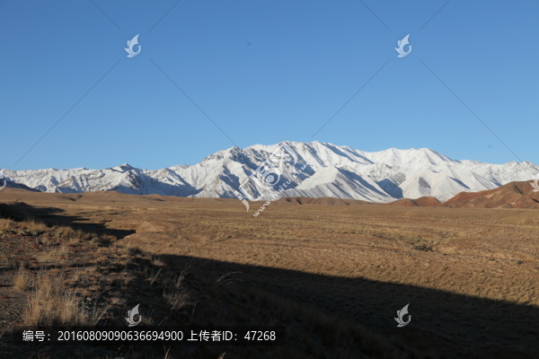 中國甘肅祁連雪山自駕游