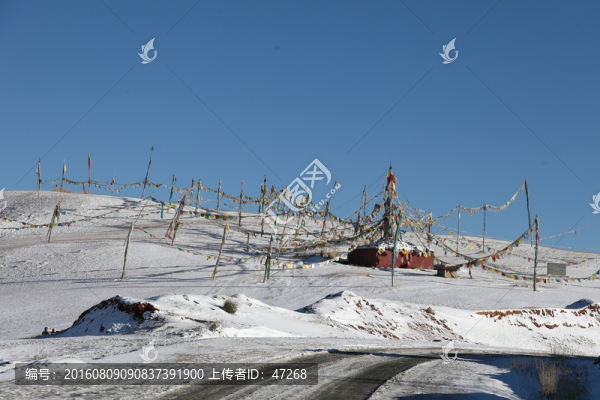中國甘肅祁連雪山自駕游