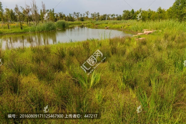 滇池濕地公園