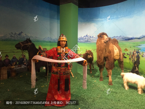 獻(xiàn)哈達(dá)