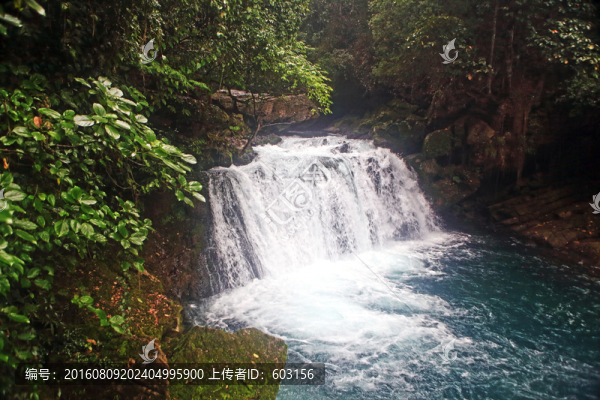 貴州,茂蘭