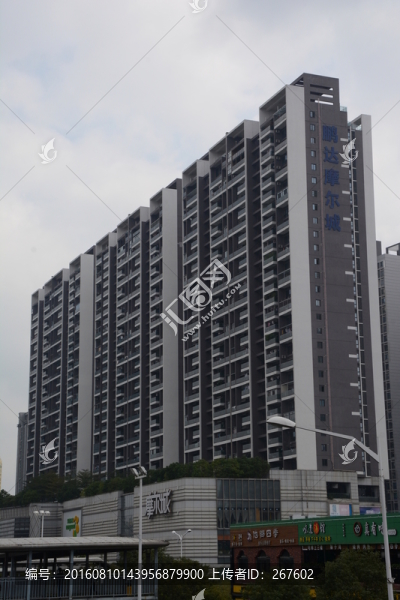 深圳風(fēng)光