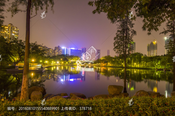 廣東省佛山市雷崗公園夜景