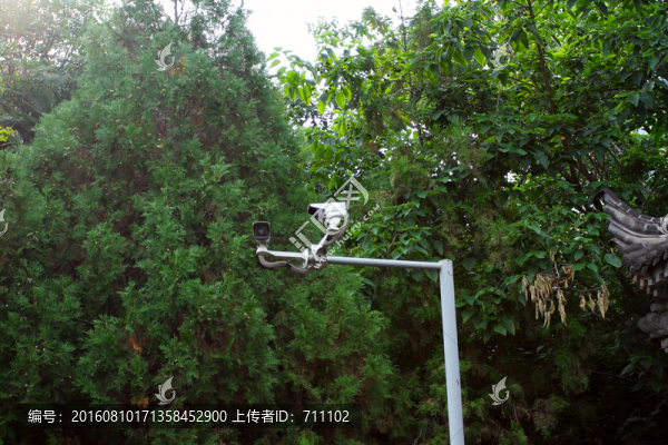 探頭