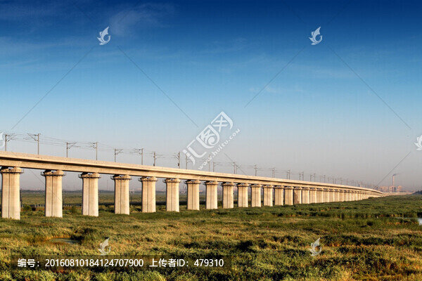 大慶,濕地,高架橋,高速鐵路