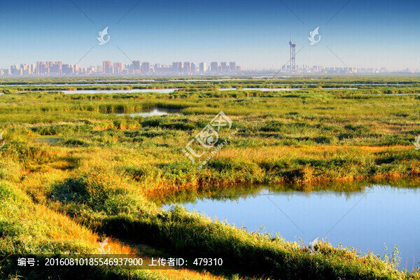 大慶,濕地景色