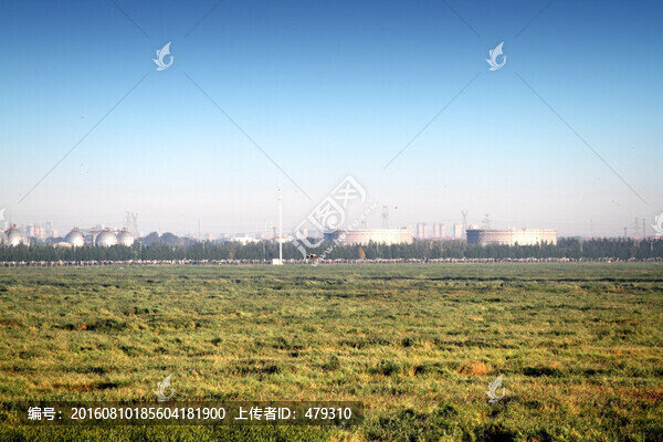大慶,濕地景色