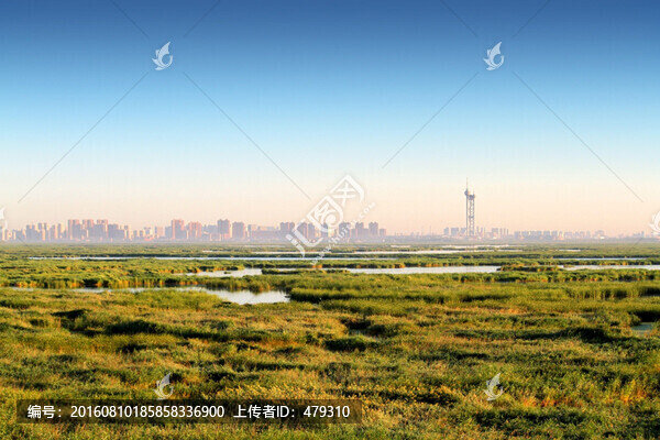 大慶,濕地景色