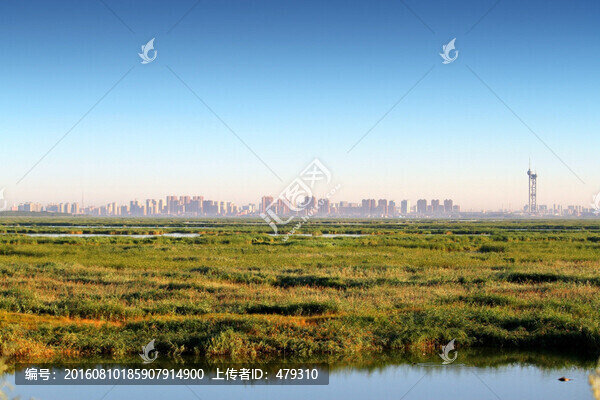 大慶,濕地景色
