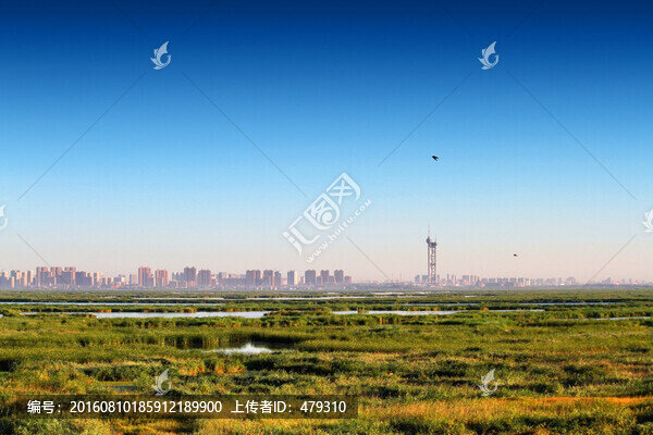 大慶,濕地景色