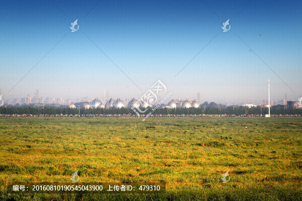 大慶,濕地景色