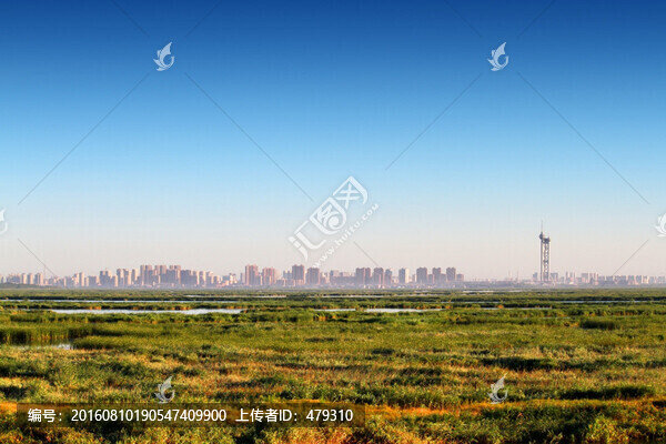 大慶,濕地景色