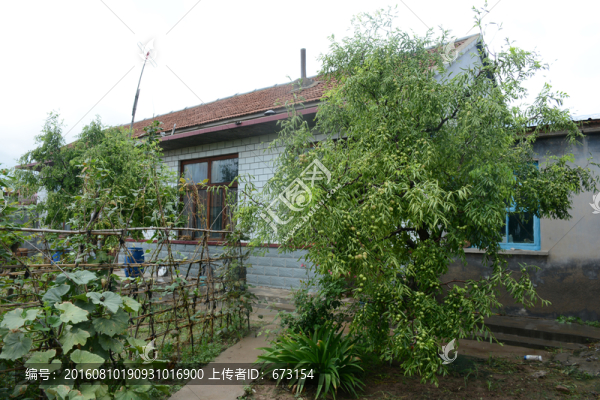 農(nóng)家小院
