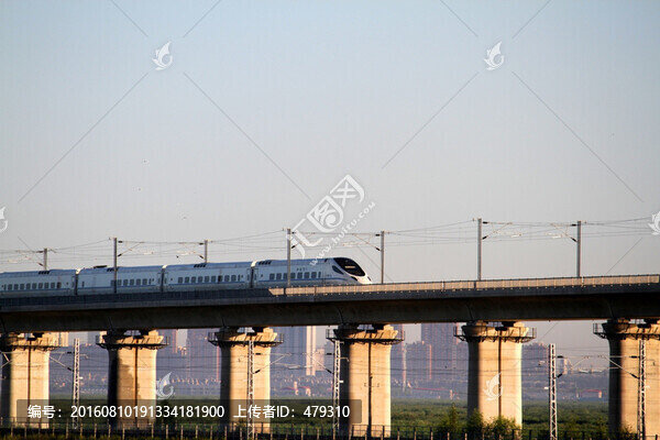 大慶,濕地,高架橋,高速鐵路