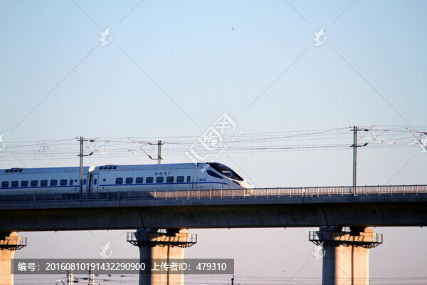 大慶,濕地,高架橋,高速鐵路