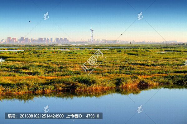 大慶,濕地
