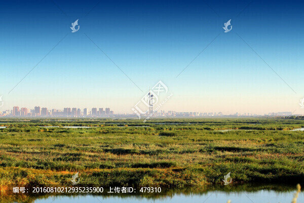 大慶,濕地,城市