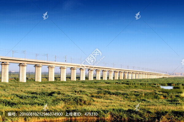 大慶,濕地,高架橋,高速鐵路