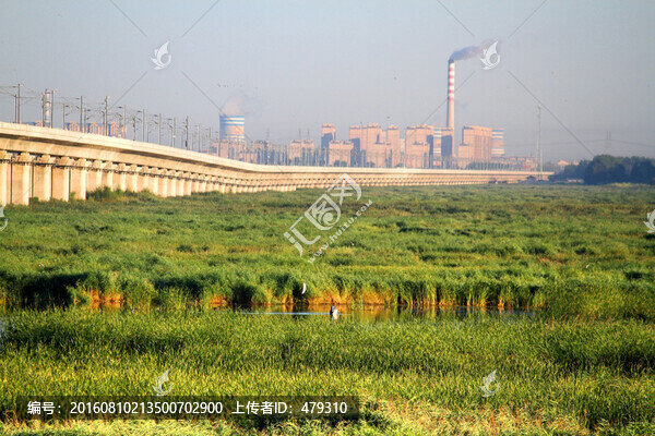 大慶,濕地,高架橋,高速鐵路