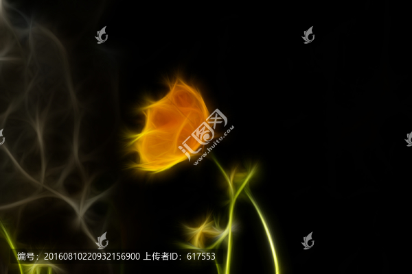 黃色菊花