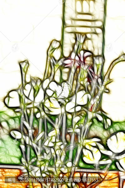 觀賞盆栽花卉