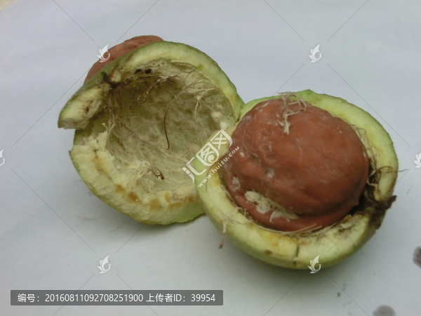 青皮核桃