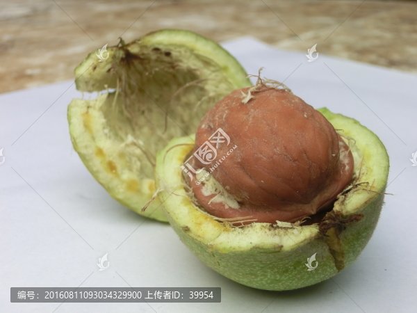 青皮核桃