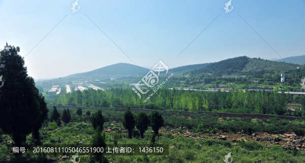 廠區(qū)風(fēng)景,,廠房