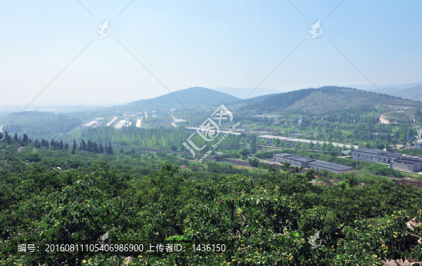 廠區(qū)風(fēng)景,,廠房