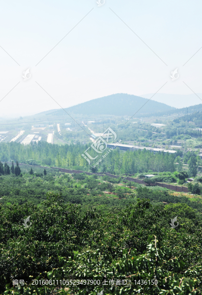 廠區(qū)風(fēng)景,,廠房建筑,,廠貌