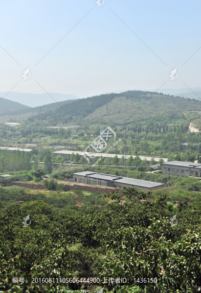 廠區(qū)風(fēng)景,,廠房