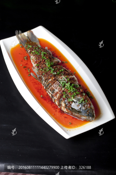 神仙魚