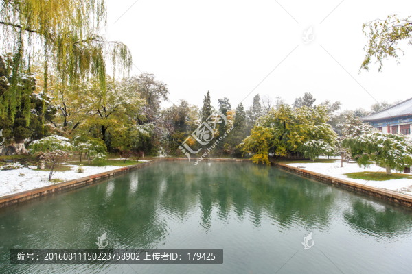 北京大學(xué)校友橋水池垂柳