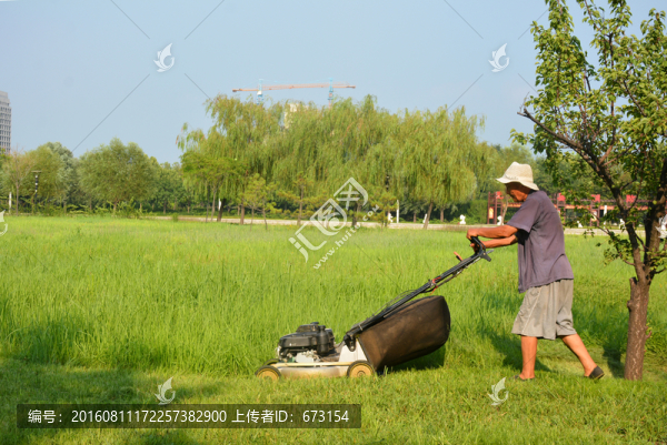 草坪養(yǎng)護(hù)