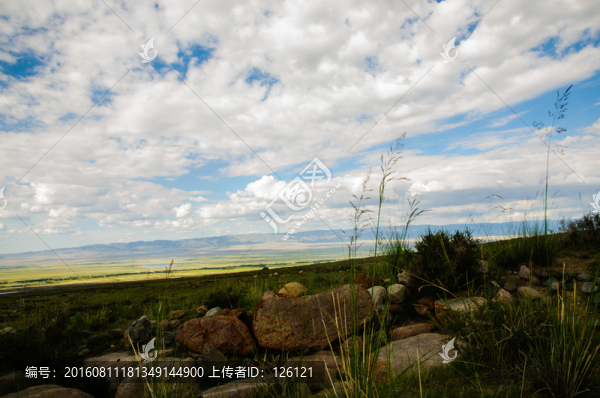 巴里坤草原風(fēng)光