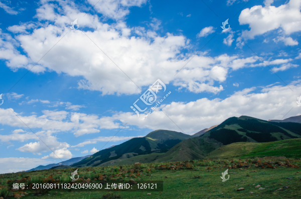 巴里坤草原風(fēng)光
