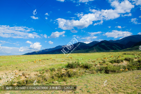 巴里坤草原風(fēng)光