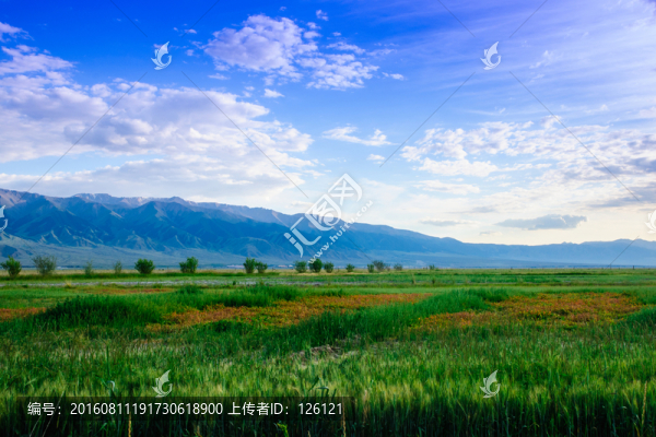 巴里坤風(fēng)光