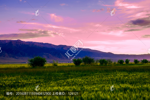 巴里坤草原風(fēng)光
