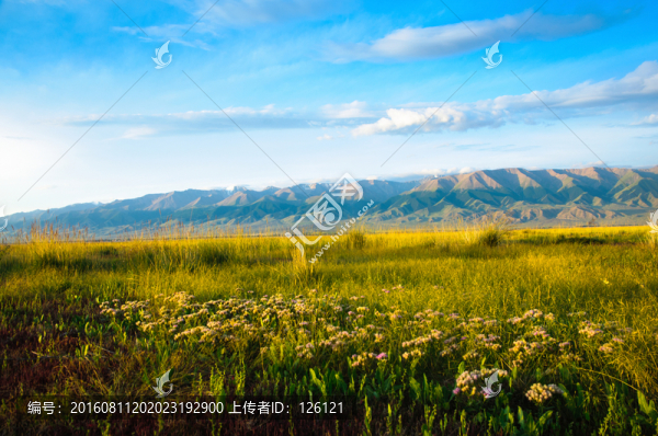 巴里坤草原風光