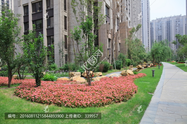 小區(qū)綠化