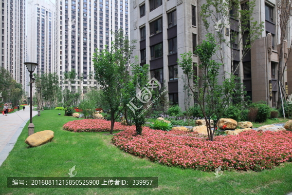 小區(qū)綠化