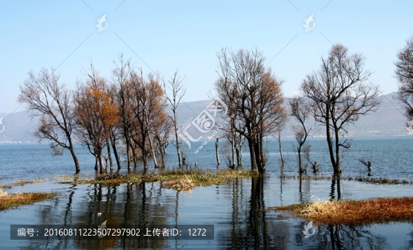 洱海風光