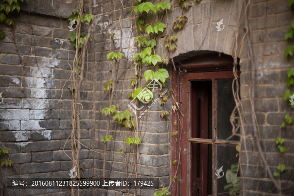 北大校園小景磚墻窗戶爬山虎