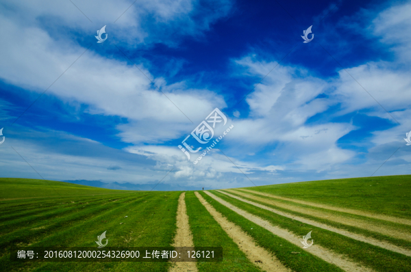 巴里坤草原風(fēng)光