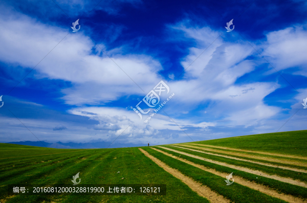 巴里坤草原風(fēng)光