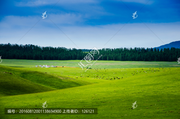巴里坤草原風光