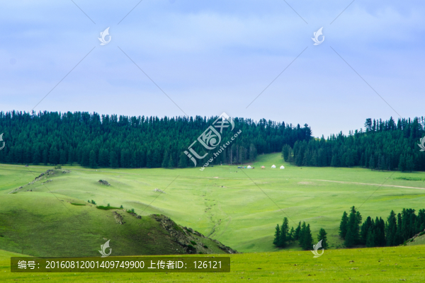 草原風光