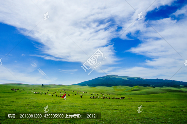 草原風(fēng)光
