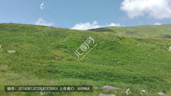 西坡
